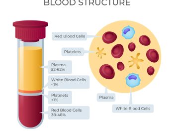 the top foods to increase platelet count naturally (Home Remedies)