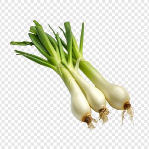 <a href="https://www.freepik.com/free-psd/leeks-isolated-transparent-background_136529666.htm#fromView=search&page=1&position=3&uuid=b942d5ce-316d-459d-9ccc-7296ad8ebaec&new_detail=true&query=leeks">Image by tohamina on Freepik</a> Indian Prebiotic foods