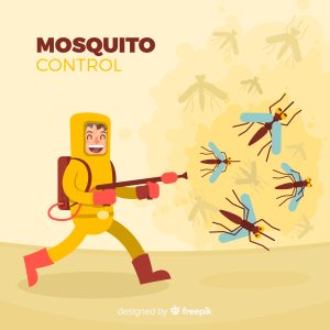 Indian Diet Plan for Dengue Fever ( Diet plan to increase Platelet count at home)
