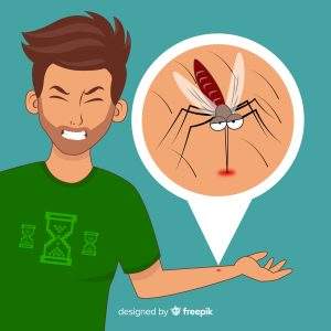 Indian Diet Plan for Dengue Fever ( Diet plan to increase Platelet count at home)