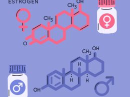 ESTROGEN DOMINANCE DIET
