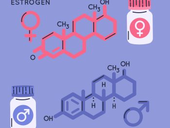 ESTROGEN DOMINANCE DIET