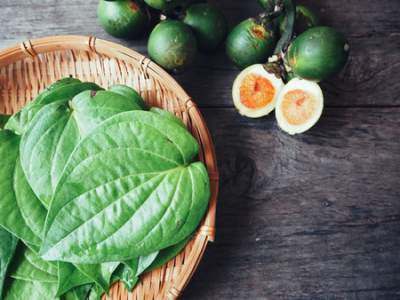 Valuable Health Benefits of Betel leaf ( Pan / Paan ka patta / Tambulam )