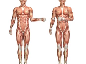Indian Diet Plan for Myopathy