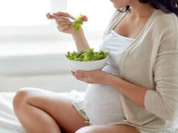 Pregnancy Diet Plan Services