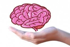 CALORIE COOKIES! Perfect for Weight Loss I Low Carb, Keto Friendly Recipe