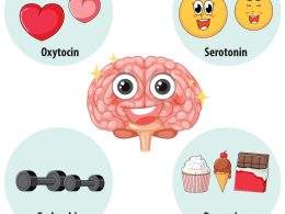 What is Serotonin? Functions of The "Feel-Good" Neurotransmitter
