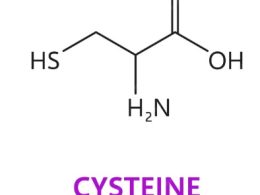 Cysteine Restriction Helps with Weight loss