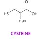 Cysteine Restriction Helps with Weight loss