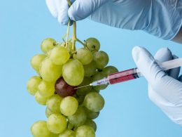 resveratrol and breast cancer