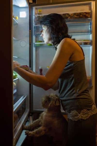 how to stop food cravings