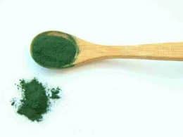 What is Spirulina? Health Benefits of Spirulina and its Side effects